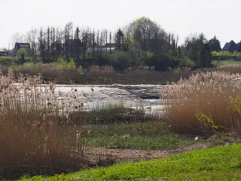 Kalkense Meersen (België)